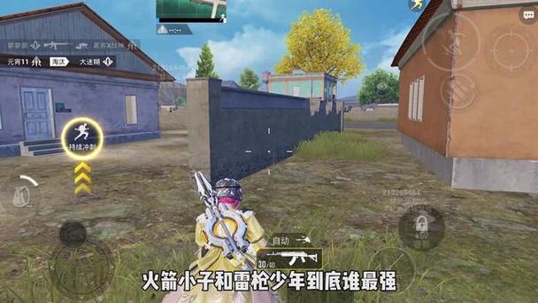 和平精英ios科技 - 苹果端稳定外挂工具